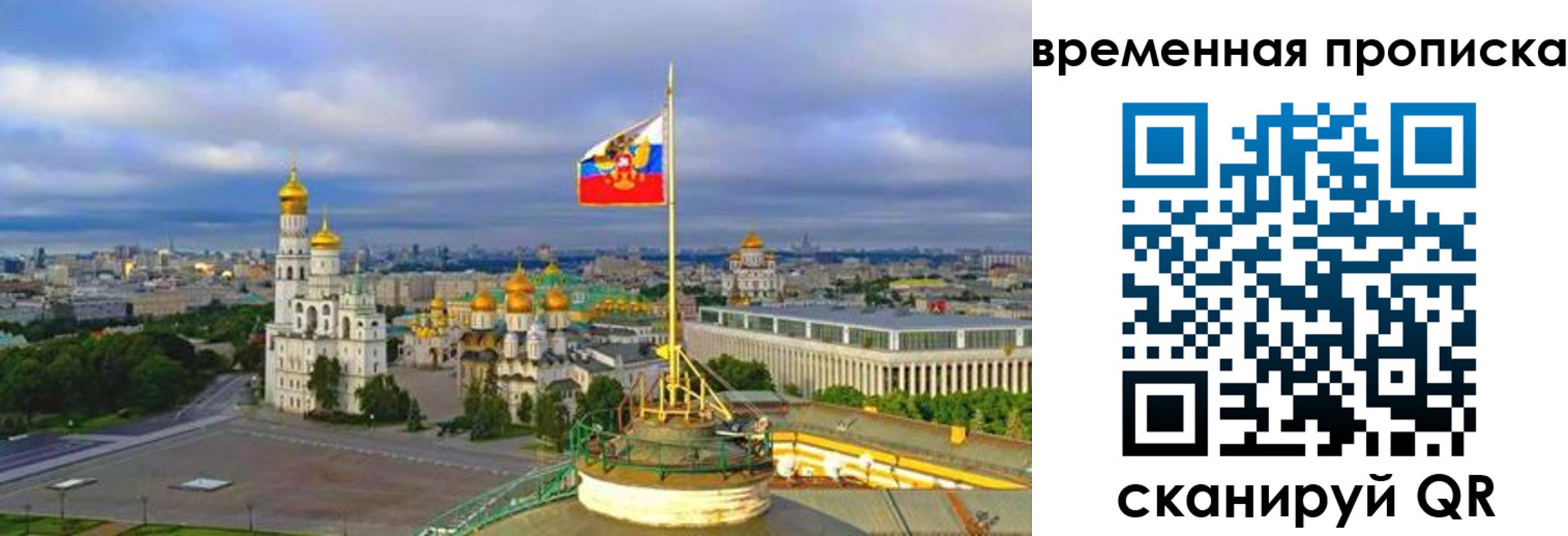 прописка в Купино