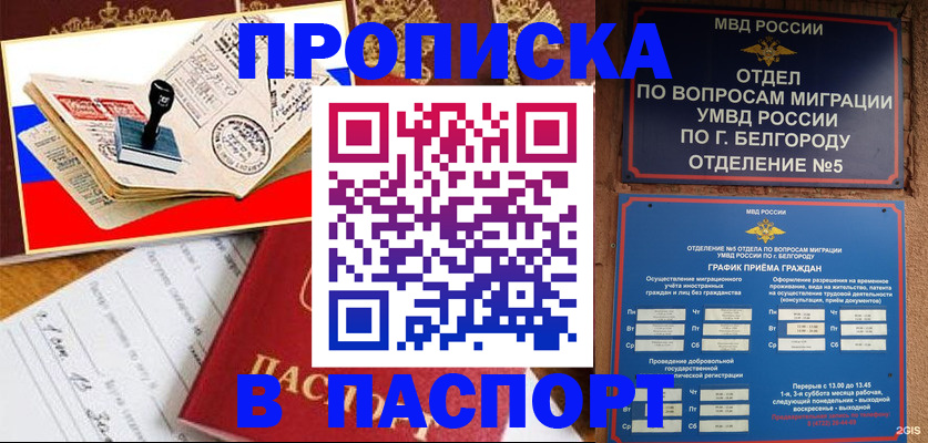 купить прописку в Купино